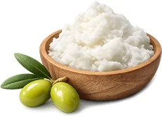 KetoSlim Cream — hydriertes Olivenöl in der Formel
