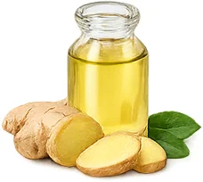 KetoSlim Cream — Ingweröl in der Formel