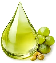 KetoSlim Cream — Traubenkernöl in der Formel