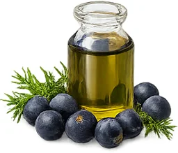 KetoSlim Cream — Wacholderbeeröl in der Formel